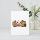 cavia ' s in een mand briefkaart (Staand voorkant)