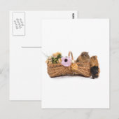 cavia ' s in een mand briefkaart (Voorkant / Achterkant)