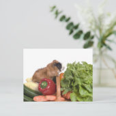 cavia ' s in een mandje groenten briefkaart (Staand voorkant)