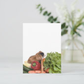cavia ' s in een mandje groenten briefkaart (Staand voorkant)