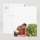 cavia ' s in een mandje groenten briefkaart (Voorkant / Achterkant)
