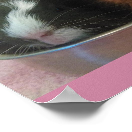 cavia ' s in speelgoed poster (Hoek)