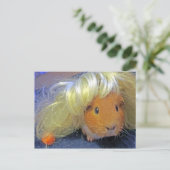 cavia ' s met een pruik briefkaart (Staand voorkant)