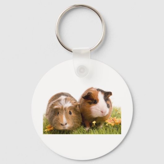cavia ' s op een gras sleutelhanger (Voorkant)