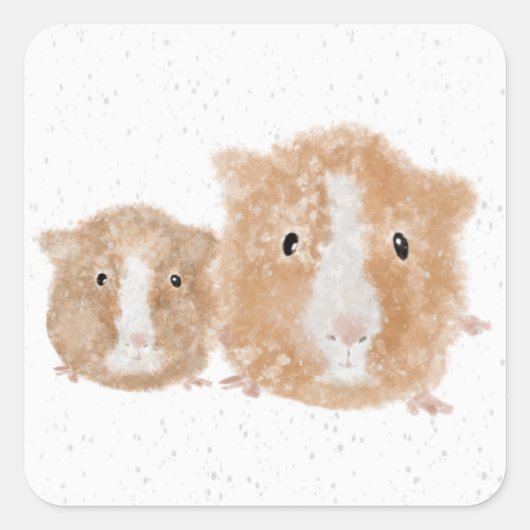 Cavia Stickers (Voorkant)
