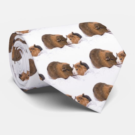 cavia stropdas (Opgerold)