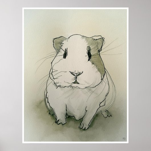 Cavia Tekening - Kunstdruk Poster (Voorkant)