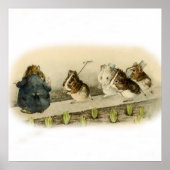 “Cavia Tuin” door Beatrix Potter Poster (Voorkant)