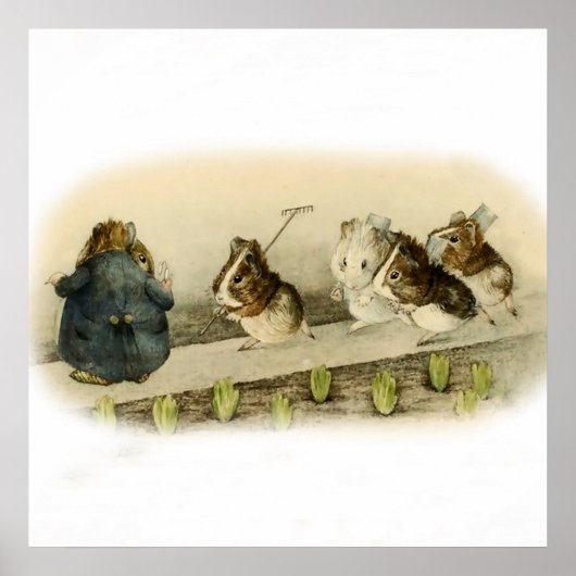 “Cavia Tuin” van Beatrix Potter Poster (Voorkant)