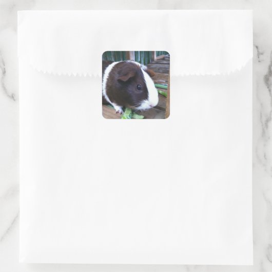 cavia vierkante sticker (Tas)