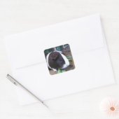 cavia vierkante sticker (Envelop)