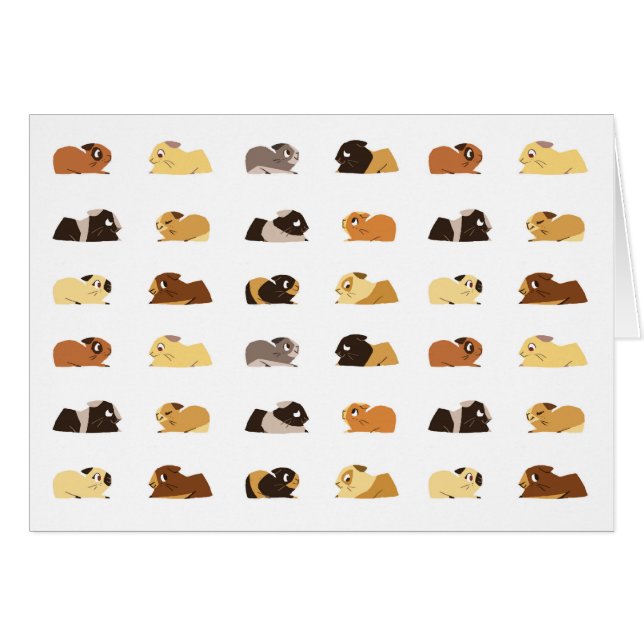 Cavia's (Voorkant Horizontaal)