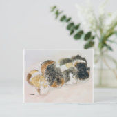 cavia's briefkaart (Staand voorkant)