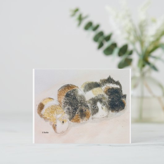 cavia's briefkaart (Staand voorkant)