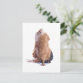 cavia's, briefkaart (Staand voorkant)
