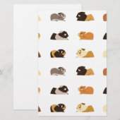 Cavia's Briefpapier (Voorkant / Achterkant)