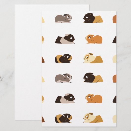 Cavia's Briefpapier (Voorkant / Achterkant)