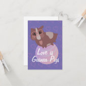 Cavia's die gebruik maken van de ziekte kaart (Voorkant / Achterkant in situ)