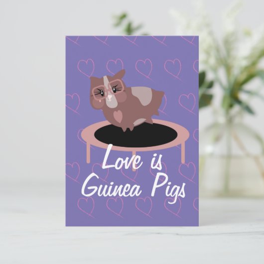 Cavia's die gebruik maken van de ziekte kaart (Staand voorkant)