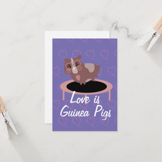 Cavia's die gebruik maken van de ziekte kaart (Voorkant / Achterkant in situ)