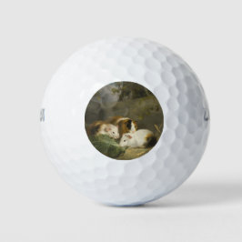Cavia's (door George Morland) Golfballen