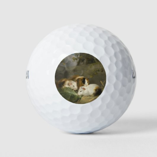 Cavia's (door George Morland) Golfballen (Voorkant)