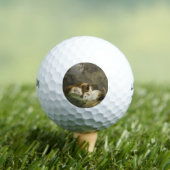 Cavia's (door George Morland) Golfballen (Insitu Shirt)