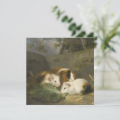 Cavia's (door George Morland) Kaart (Staand voorkant)