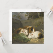 Cavia's (door George Morland) Kaart (Voorkant / Achterkant in situ)