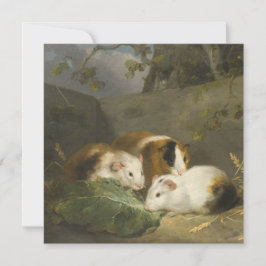 Cavia's (door George Morland) Kaart