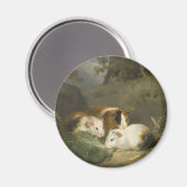 Cavia's (door George Morland) Magneet (Voorkant / Achterkant)