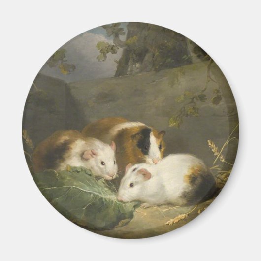 Cavia's (door George Morland) Magneet (Voorkant)