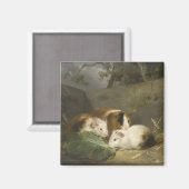 Cavia's (door George Morland) Magneet (Voorkant / Achterkant)