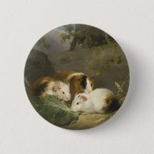 Cavia's (door George Morland)