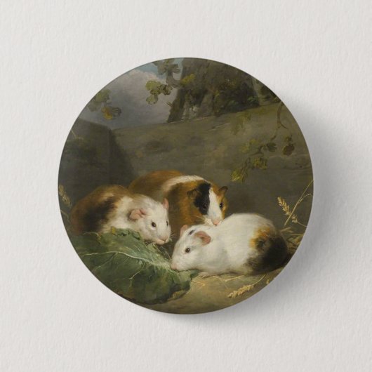 Cavia's (door George Morland) Ronde Button 5,7 Cm (Voorkant)