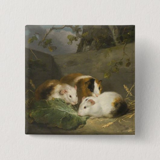 Cavia's (door George Morland) Vierkante Button 5,1 Cm (Voorkant)