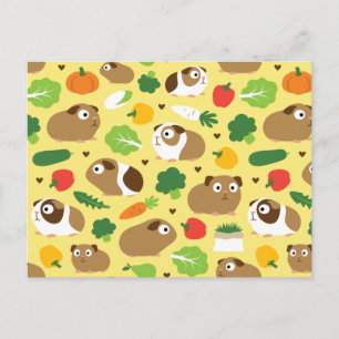 Cavia's en hun behandelingen briefkaart