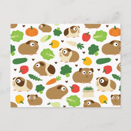 Cavia's en hun behandelingen briefkaart (Voorkant)