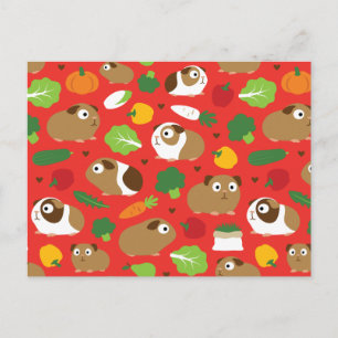 Cavia's en hun behandelingen briefkaart