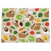 Cavia's en hun behandelingen groot cadeauzakje (Voorkant)