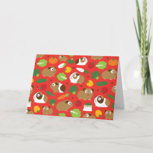 Cavia's en hun behandelingen kaart