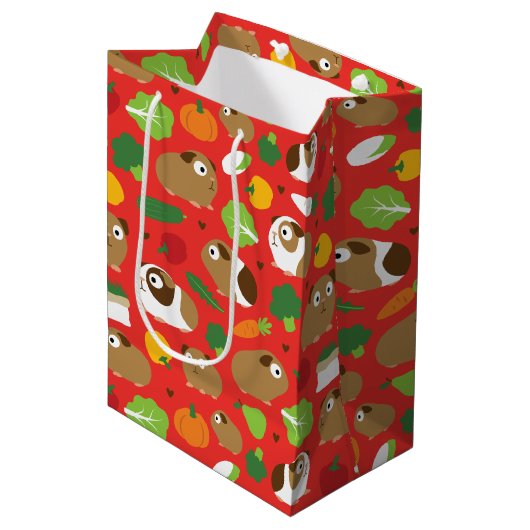 Cavia's en hun behandelingen medium cadeauzakje (Voorkant Gekanteld)