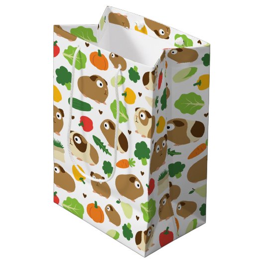 Cavia's en hun behandelingen medium cadeauzakje (Voorkant Gekanteld)