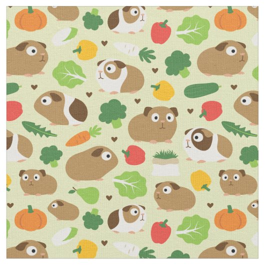 Cavia's en hun behandelingen stof (Close Up)