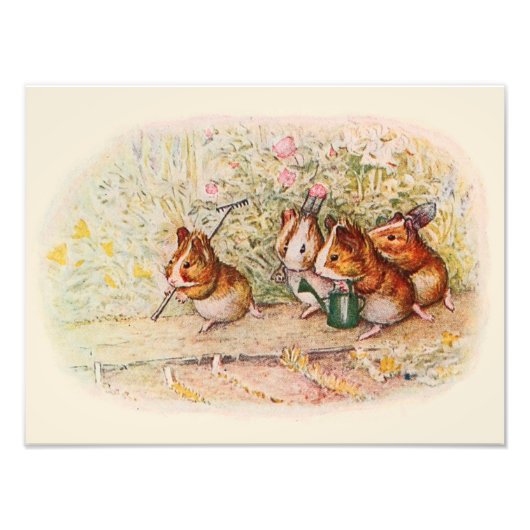 Cavia's en tuinwerktuigen foto afdruk (Voorkant)