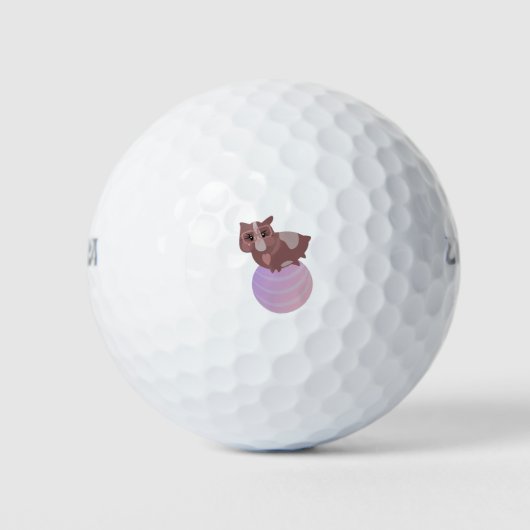 Cavia's Fitness Grappig Ontwerp Golfballen (Voorkant)
