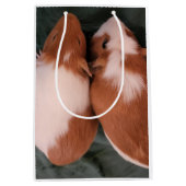 Cavia's geschenkzak medium cadeauzakje (Voorkant)