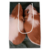 Cavia's geschenkzak medium cadeauzakje (Achterkant)