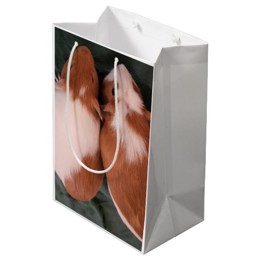 Cavia's geschenkzak medium cadeauzakje (Achterkant Gekanteld)