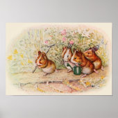 Cavia's in de tuin poster (Voorkant)